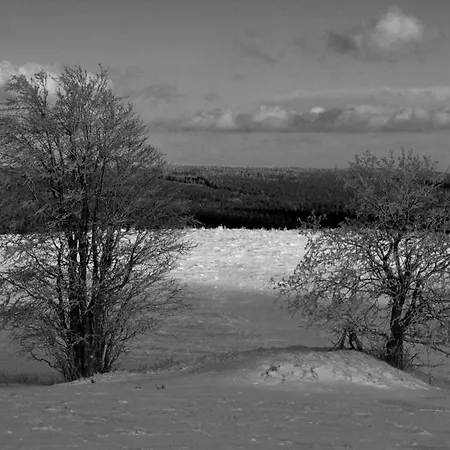 Osrodek Pegaz Feriested Duszniki Zdrój