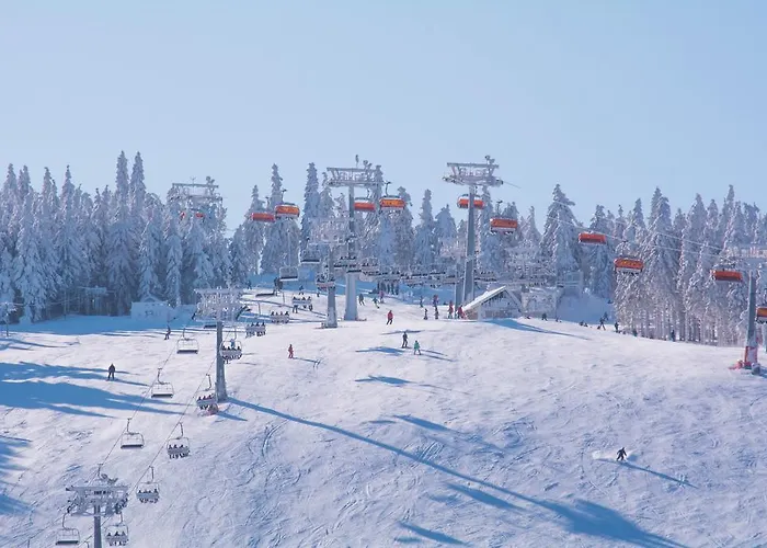 리조트 Osrodek Pegaz