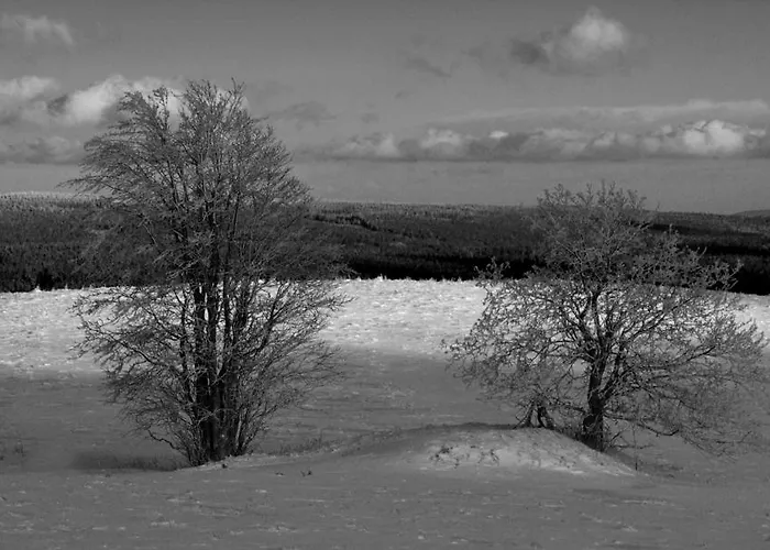 Osrodek Pegaz Resort Duszniki Zdrój